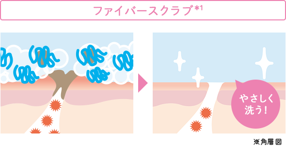 スクラブ　ファイバースクラブ