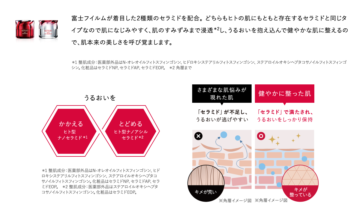 富士フイルムが着目した2種類のセラミドを配合。 どちらもヒトの肌にもともと存在するセラミドと同じタイプなので肌になじみやすく、肌のすみずみまで浸透＊2し、うるおいを抱え込んで健やかな肌に整えるので、肌本来の美しさを呼び覚まします。 ＊1 整肌成分：医薬部外品はN-オレオイルフィトスフィンゴシン、ヒドロキシステアリルフィトスフィンゴシン、ステアロイルオキシヘプタコサノイルフィトスフィンゴシン。化粧品はセラミドNP、セラミドAP、セラミドEOP。 ＊2 角層まで