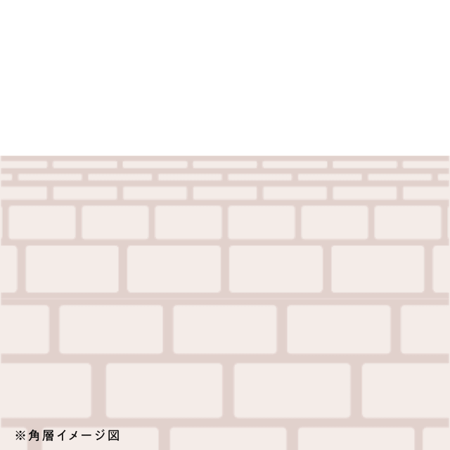 角層イメージ図