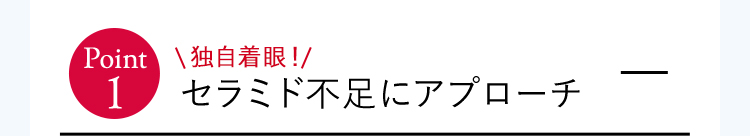 セラミド不足にアプローチ