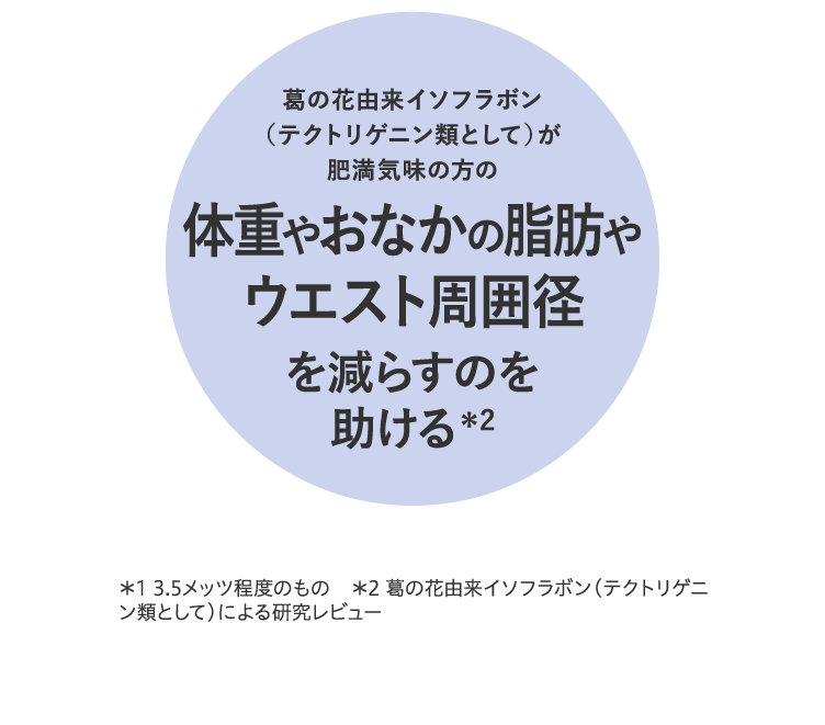 葛の花由来イソフラボンが日常生活活動や運動時*のエネルギー消費を高める