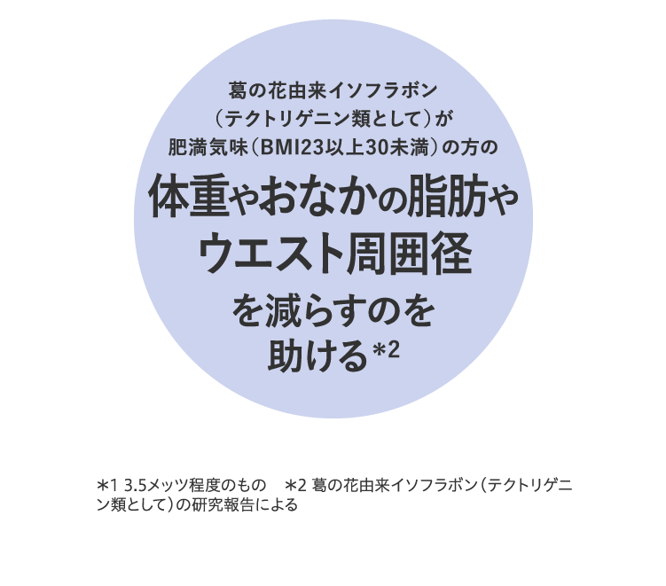 葛の花由来イソフラボンが日常生活活動や運動時*のエネルギー消費を高める