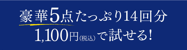 豪華5点たっぷり14回分 1,100円（税込）で試せる！