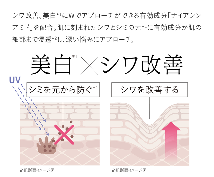 シワ改善、美白*1にWでアプローチができる有効成分「ナイアシンアミド」を配合。肌に刻まれたシワとシミの元*1に有効成分が肌の細部まで浸透*2し、深い悩みにアプローチ。
