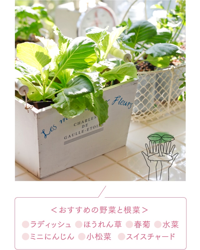 ＜おすすめの野菜と根菜＞