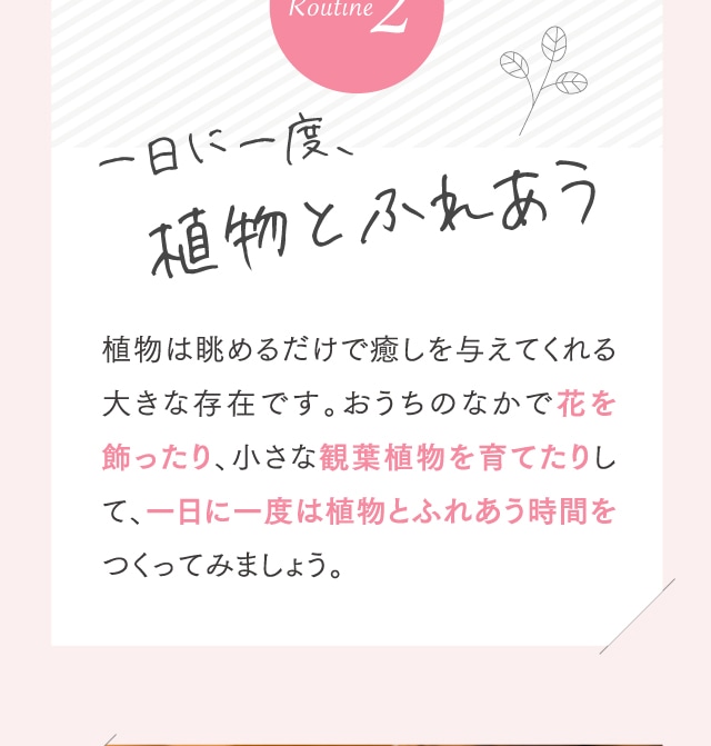一日に一度、植物とふれあう