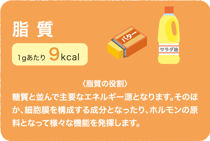 脂質 1gあたり9kcal