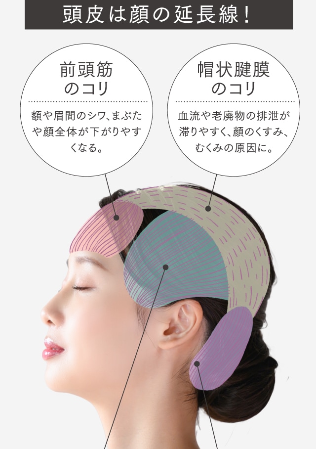 頭皮は顔の延長線！