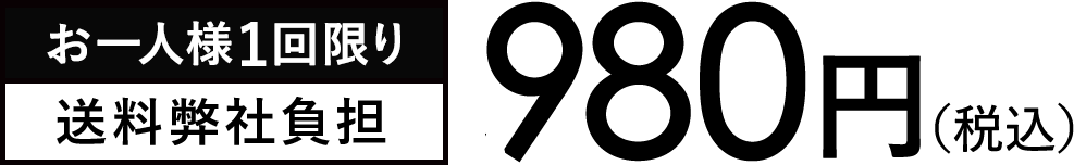 980円（税込）