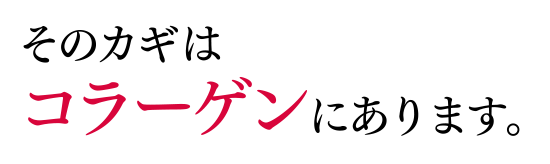 そのカギはコラーゲンにあります