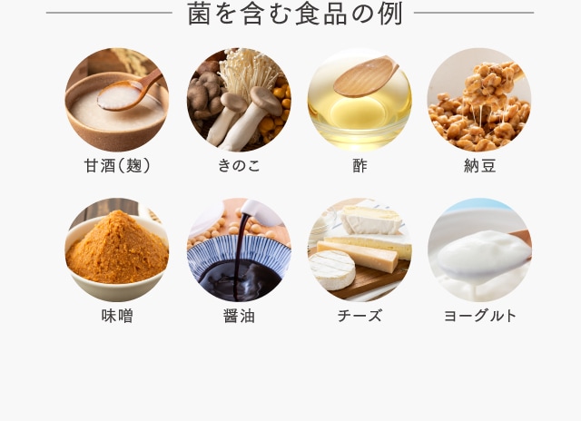 菌を含む食品の例