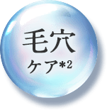[毛穴ケア＊2]
