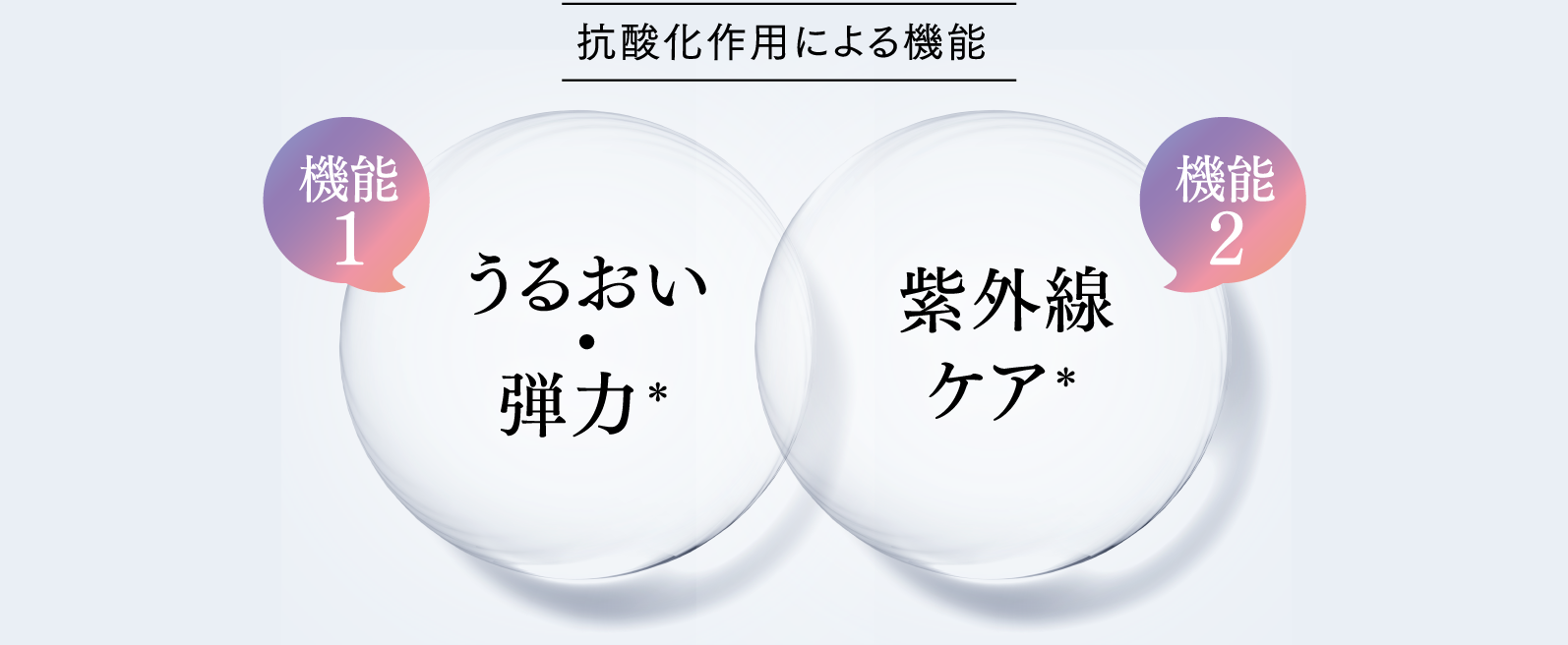 抗酸化作用による機能 機能
  1 紫外線ケア＊ 機能2 うるおい・弾力＊