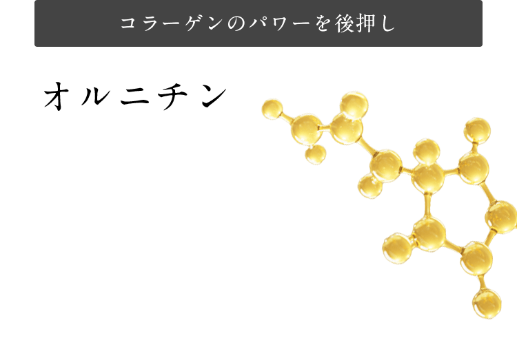 コラーゲンのパワーを後押し オルニチン