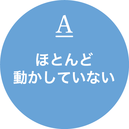 ほとんど動かしていない