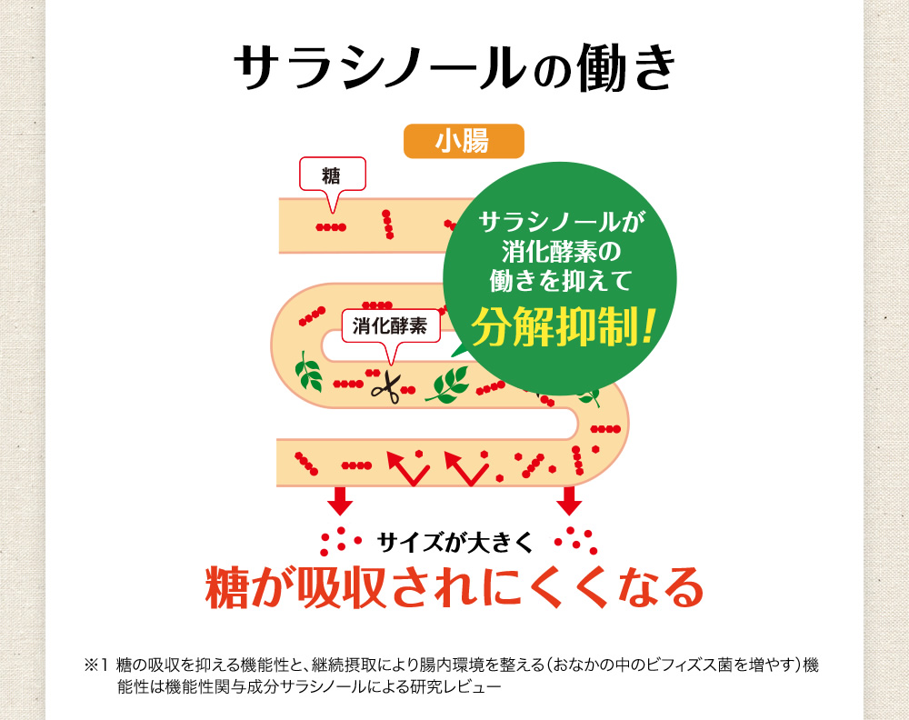 サラシノールの働き