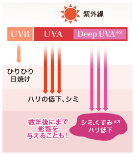 Deep UVA＊2 が原因のシミ、くすみ＊3、ハリ低下は数年後にまで影響を与えることも！