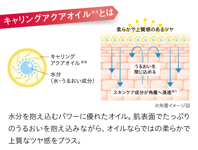 キャリングアクアオイルとは 水分を抱え込むパワーに優れたオイル。肌表面でたっぷりのうるおいを抱え込みながら、オイルならではの柔らかで上質なツヤ感をプラス。