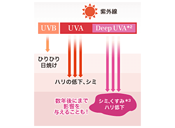 Deep UVA＊2 が原因のシミ、くすみ＊3、ハリ低下は数年後にまで影響を与えることも！