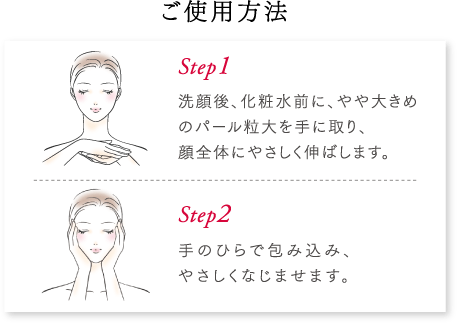 ご使用方法