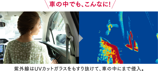 車の中でも、こんなに!