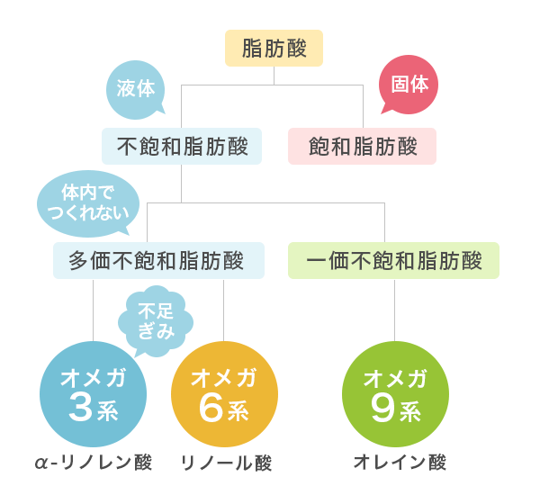 オイルの基礎知識