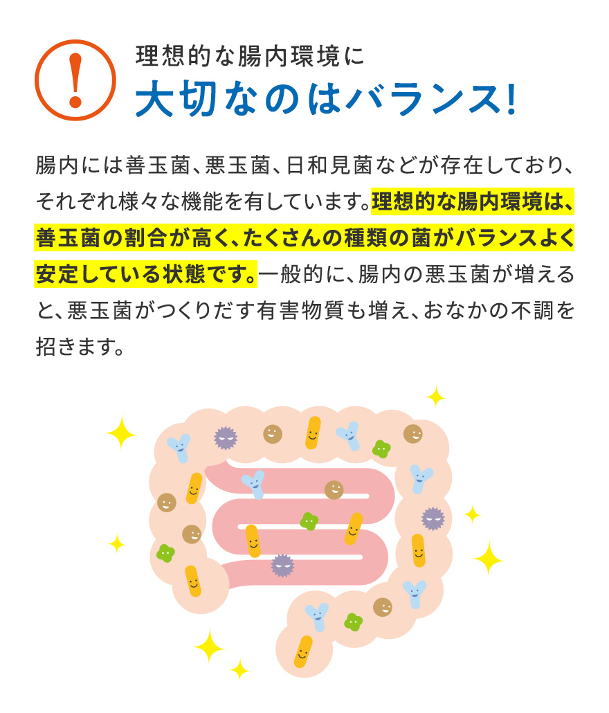 理想的な腸内環境に大切なのはバランス！ 腸内には善玉菌、悪玉菌、日和見菌などが存在しており、それぞれ様々な機能を有しています。理想的な腸内環境は、善玉菌の割合が高く、たくさんの種類の菌がバランスよく安定している状態です。一般的に、腸内の悪玉菌が増えると、悪玉菌がつくりだす有害物質も増え、おなかの不調を招きます。