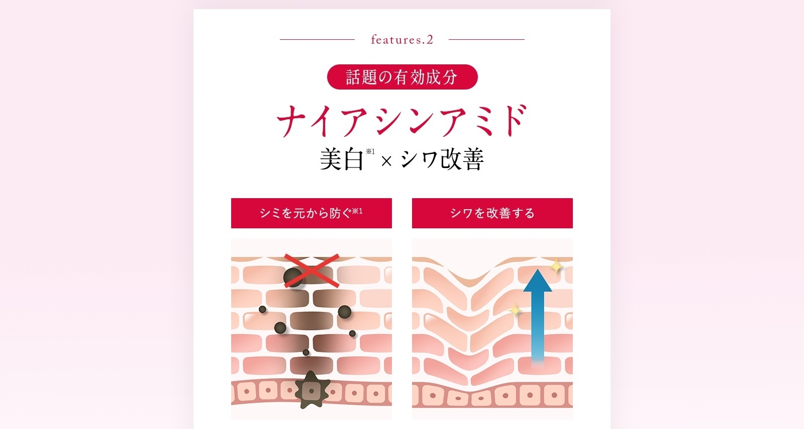 話題の有効成分 ナイアシンアミド