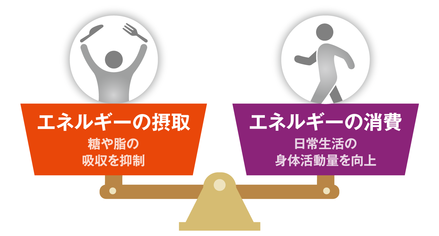 エネルギーの摂取/エネルギーの消費