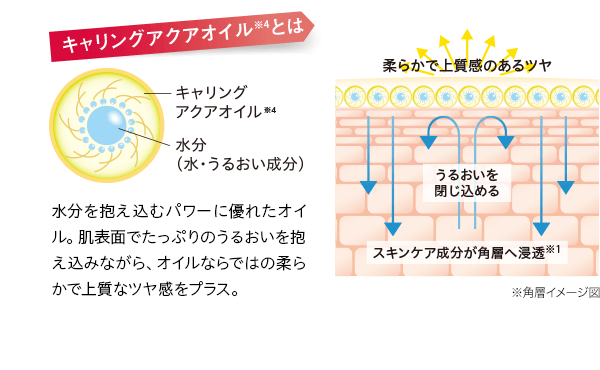 キャリングアクアオイルとは 水分を抱え込むパワーに優れたオイル。肌表面でたっぷりのうるおいを抱え込みながら、オイルならではの柔らかで上質なツヤ感をプラス。