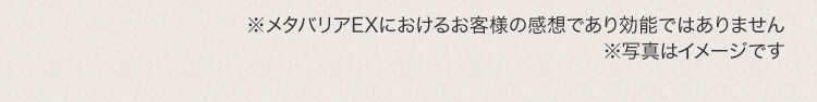 注釈