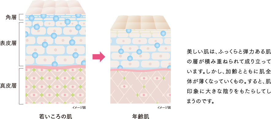 イメージ図