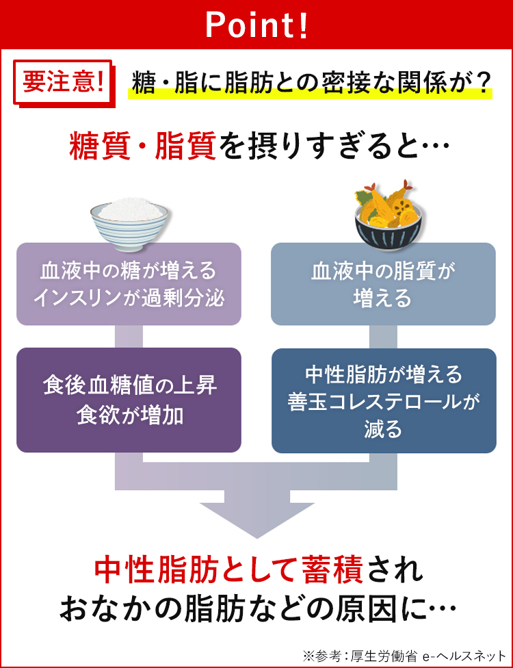 要注意!糖・脂に脂肪との密接な関係が?糖質・脂質を摂りすぎると、中性脂肪としてされされおなかの脂肪などの原因に…