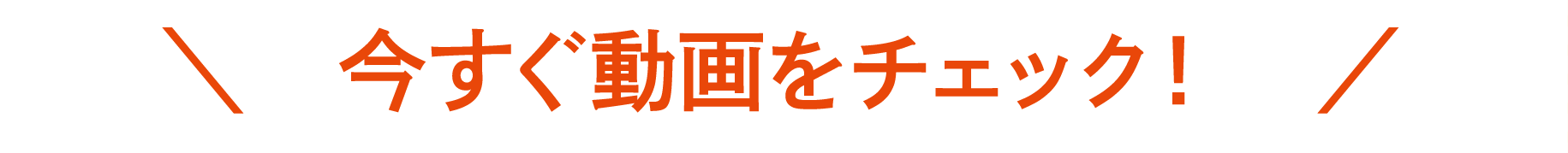 今すぐ動画をチェック