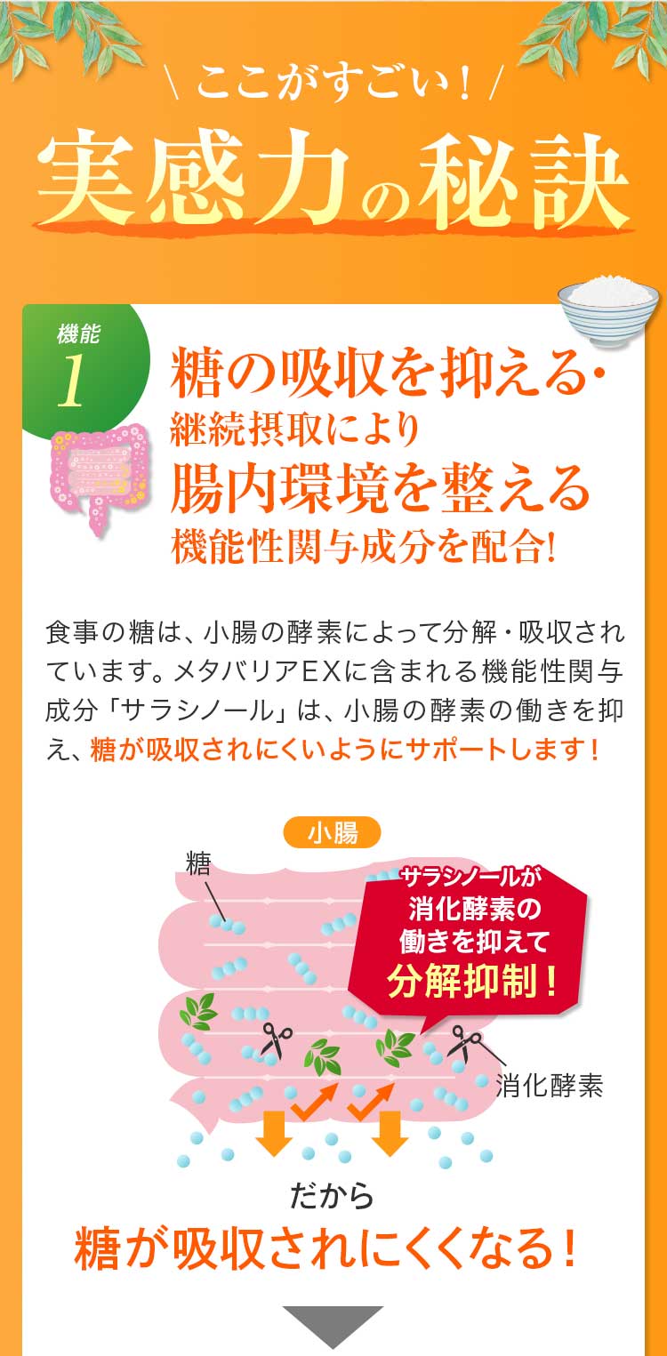 ここがすごい！実感力の秘訣【機能1】糖の吸収を抑える・継続摂取により腸内環境を整える機能性関与成分を配合！