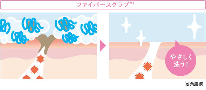 スクラブ　ファイバースクラブ