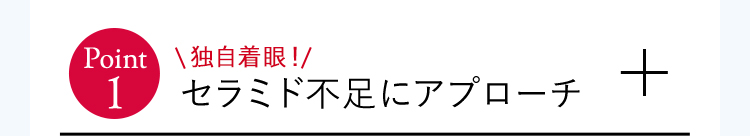 セラミド不足にアプローチ