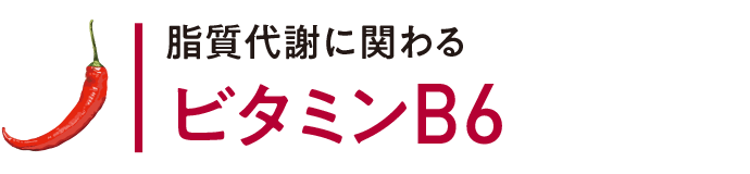 脂質代謝に関わる ビタミンB6