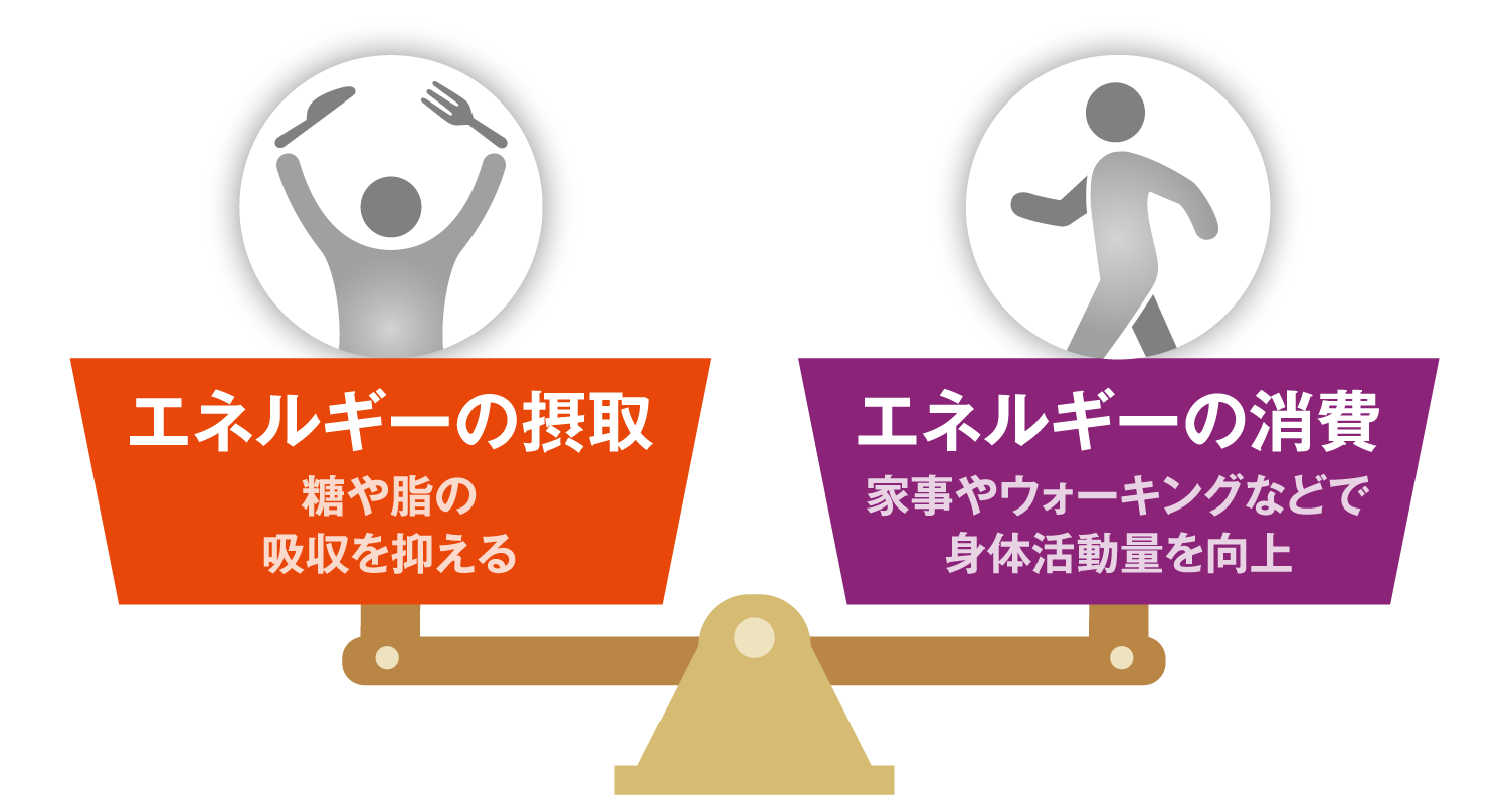 エネルギーの摂取/エネルギーの消費