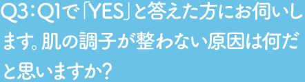 Q3 Q1で「YES」と答えた方にお伺いします。肌の調子が整わない原因は何だと思いますか？
