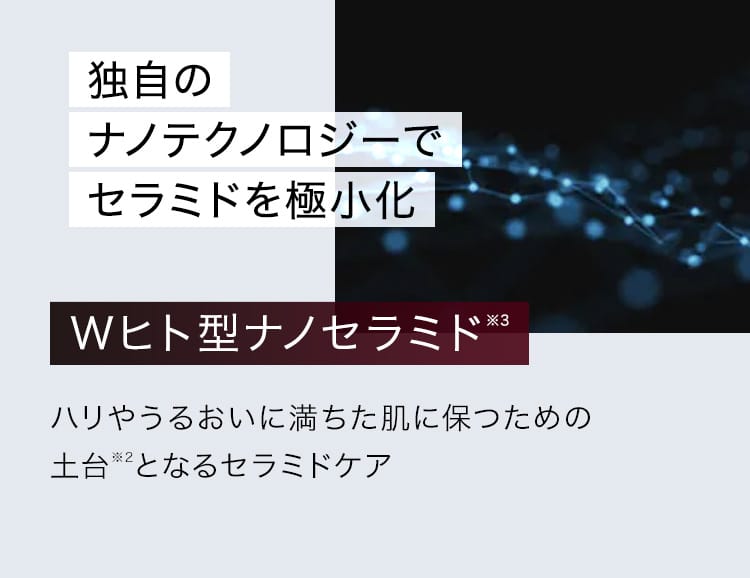 独自のナノテクノロジーでセラミドを極小化｜Wヒト型ナノセラミド※3