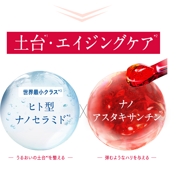 土台・エイジングケア 