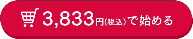 3,833円(税込)で始める