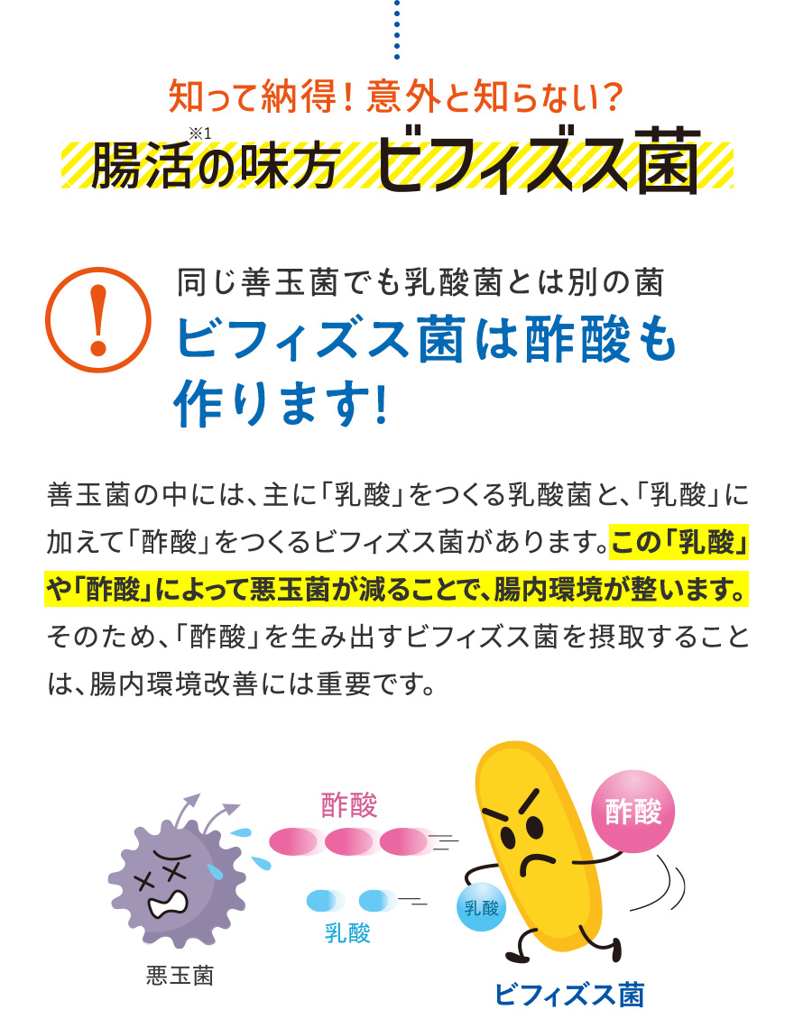 知って納得！意外と知らない？腸活※1の味方 ビフィズス菌|同じ善玉菌でも乳酸菌とは別の菌 ビフィズス菌は酢酸も作ります! 善玉菌の中には、主に「乳酸」をつくる乳酸菌と、「乳酸」に加えて「酢酸」をつくるビフィズス菌があります。この「乳酸」や「酢酸」によって悪玉菌が減ることで、腸内環境が整います。そのため、「酢酸」を生み出すビフィズス菌を摂取することは、腸内環境改善には重要です。