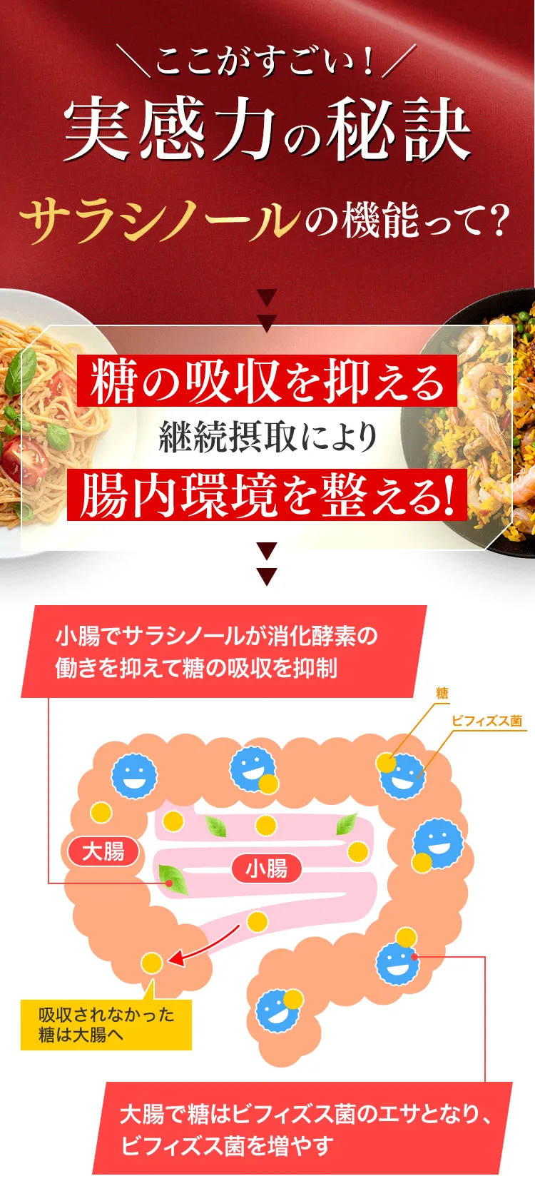 ここがすごい！実感力の秘訣 サラシノールの機能って？