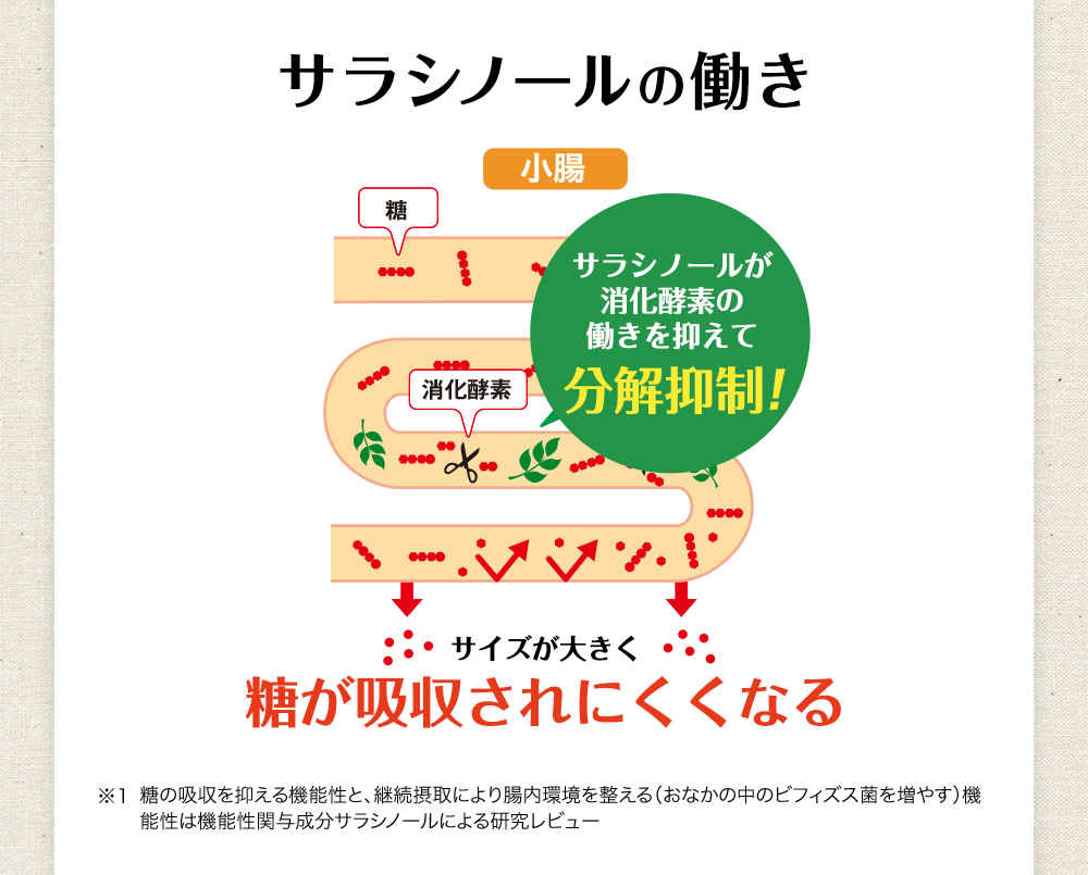 サラシノールの働き