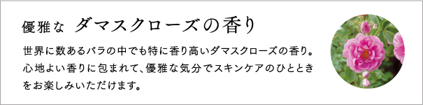 優雅な ダマスクローズの香り