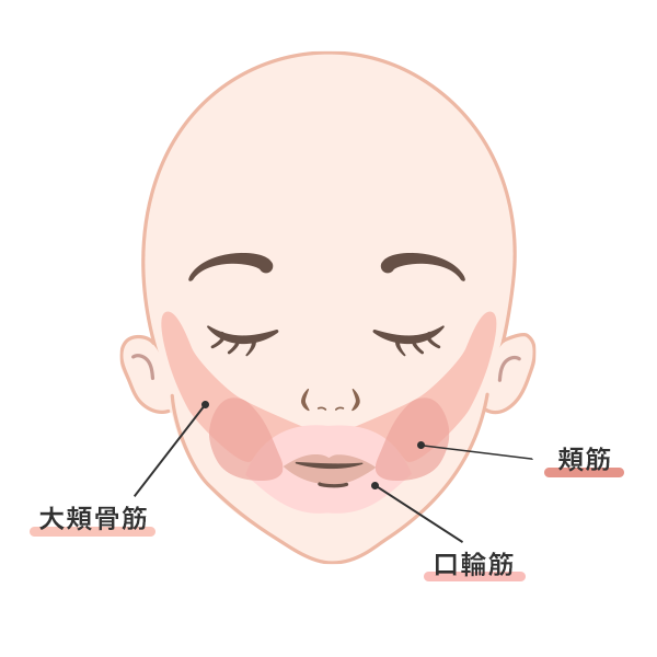 表情筋