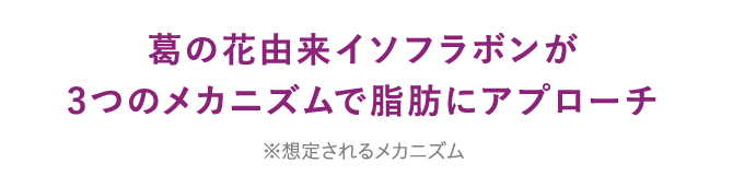 葛の花由来イソフラボンが3つのメカニズムで脂肪にアプローチ