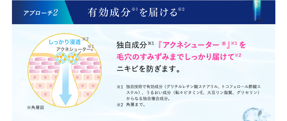 【アプローチ2】有効成分を届ける